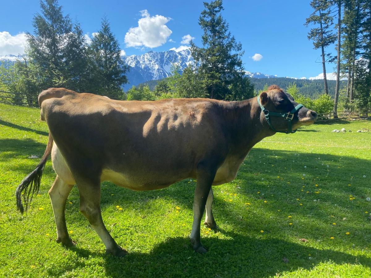 Vila Sweetwater Lane Farm Mount Currie Exteriér fotografie