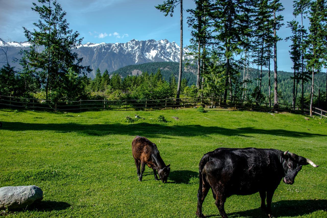 Vila Sweetwater Lane Farm Mount Currie Exteriér fotografie