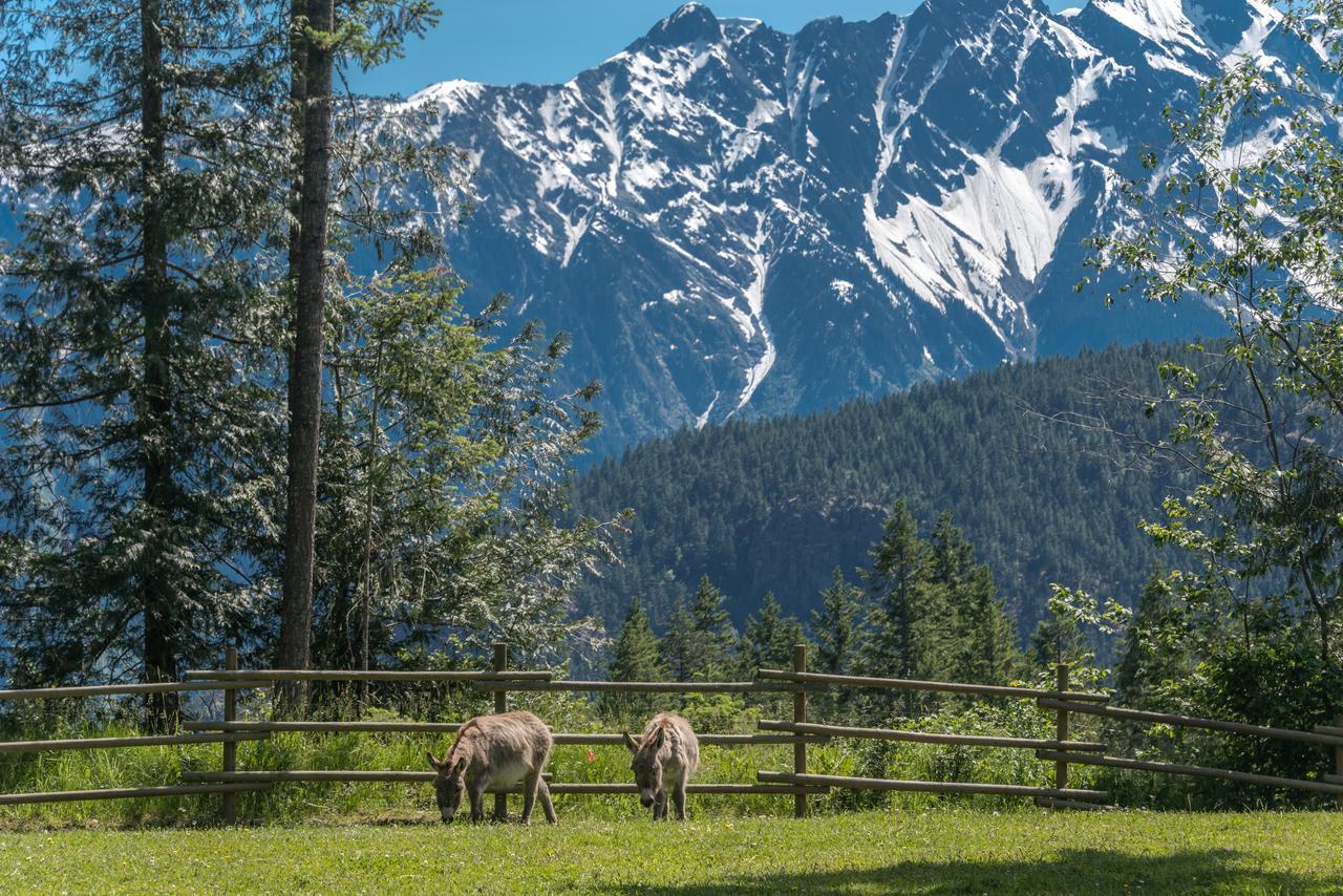 Vila Sweetwater Lane Farm Mount Currie Exteriér fotografie