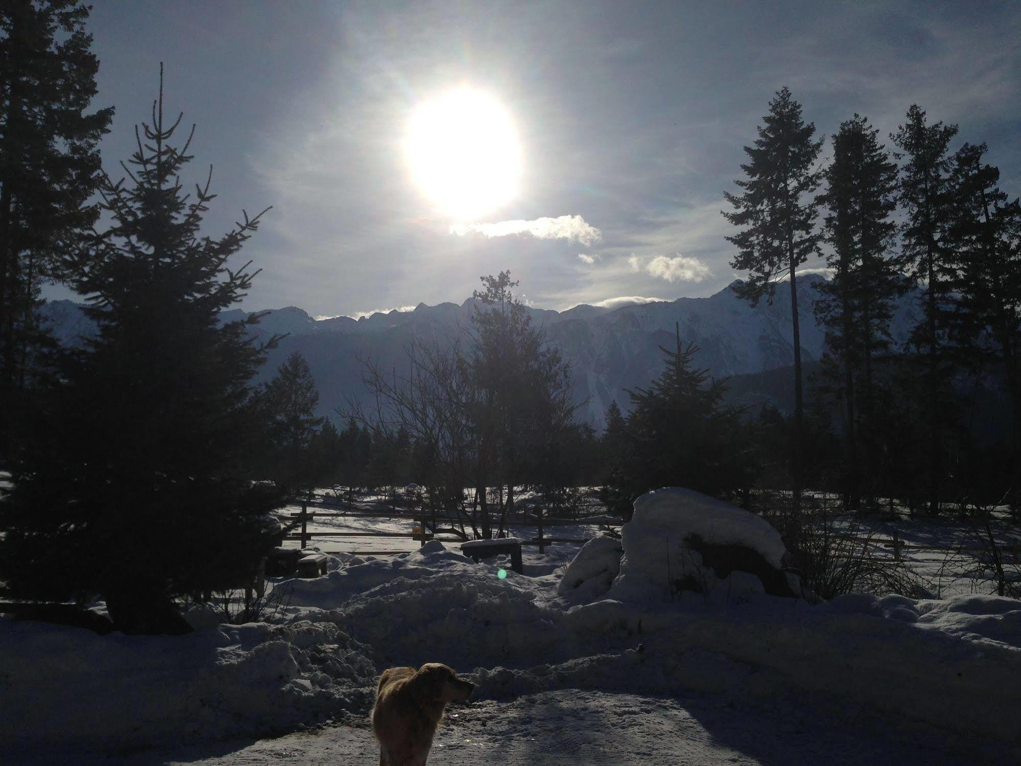 Vila Sweetwater Lane Farm Mount Currie Exteriér fotografie