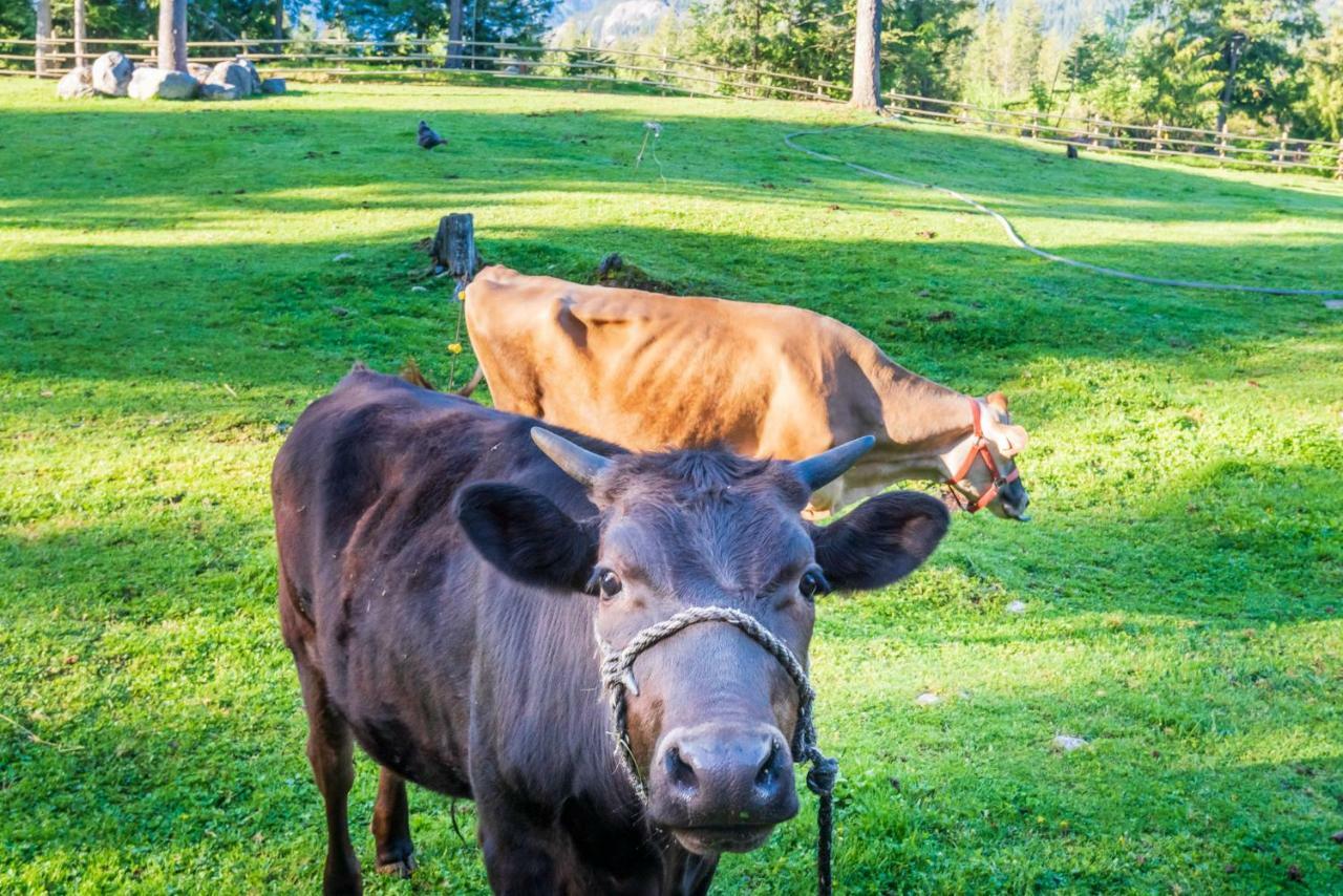 Vila Sweetwater Lane Farm Mount Currie Exteriér fotografie